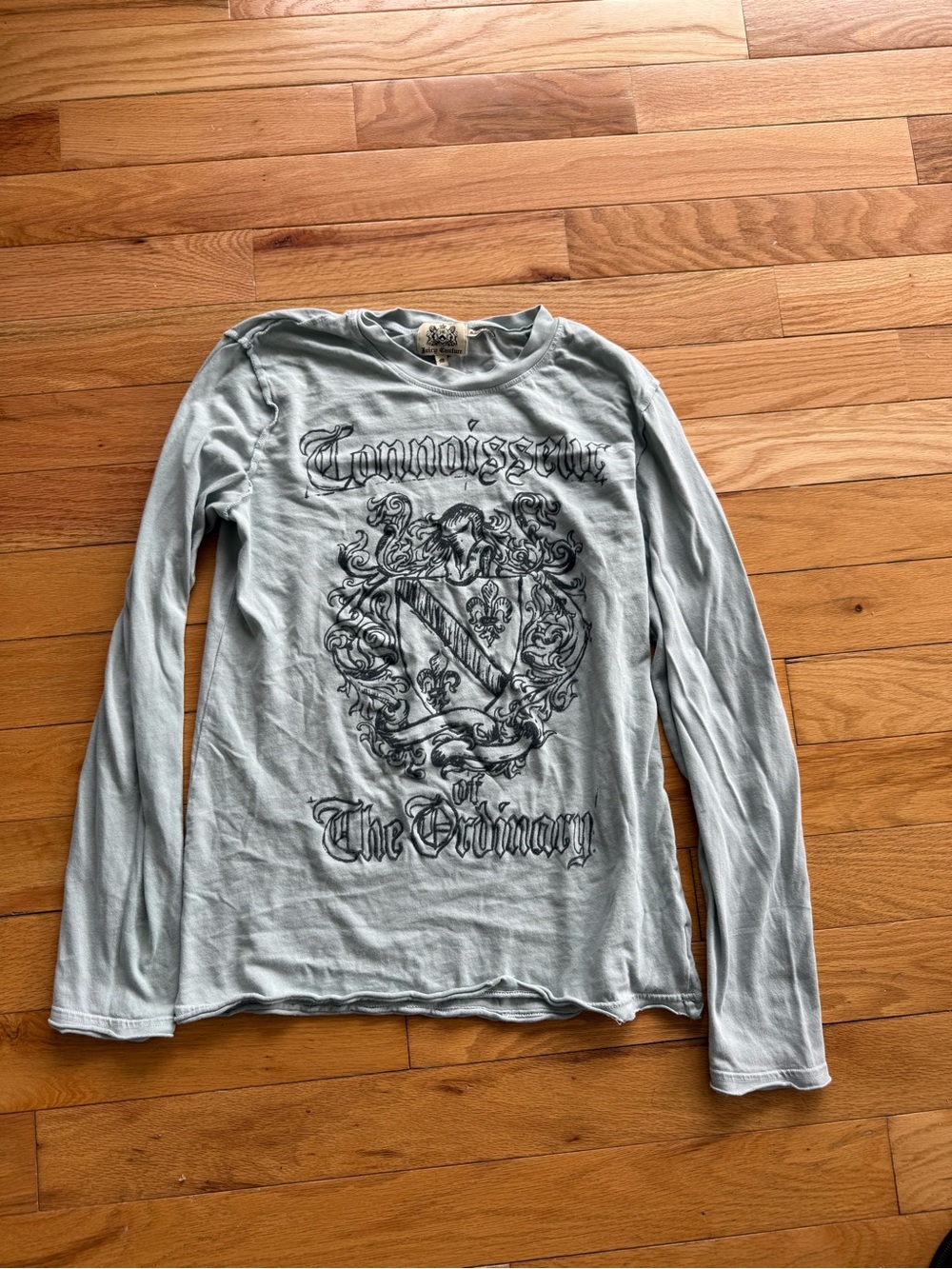 Women’s Long-Sleeve Juicy Graphic Shirt - Light Blue